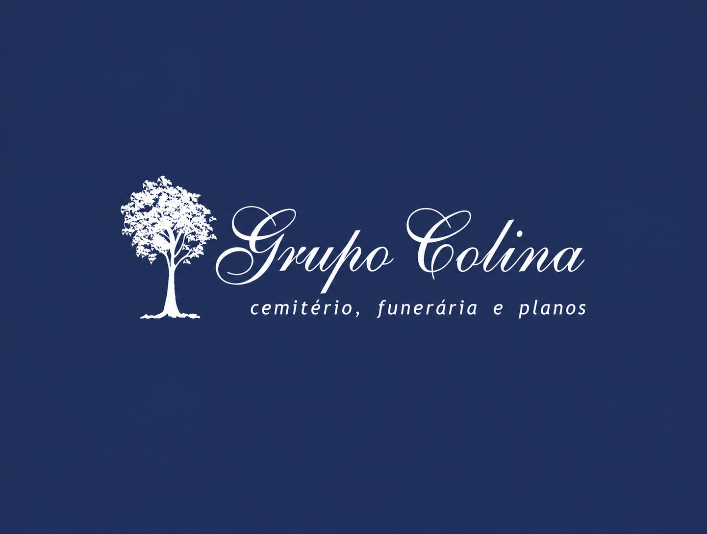 Logo Grupo Colina